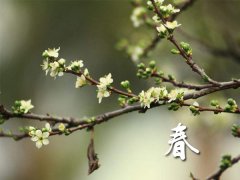 <b>撸起袖子加油干,蓄势博发创佳绩</b>