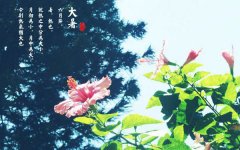 <b>夏送清凉:市工会领导莅临南洋环保慰问职工</b>