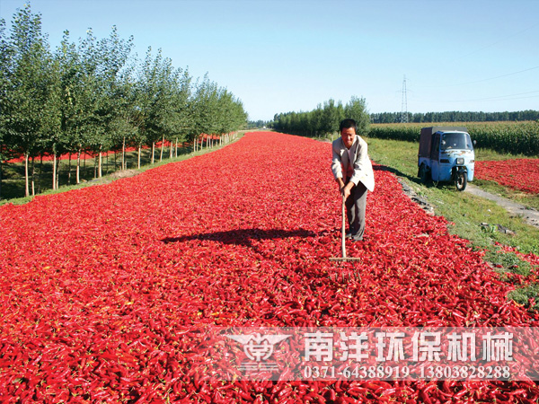 天山南北辣椒别样红,节能烘干椒农更省心